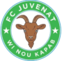 fcj logo (1)